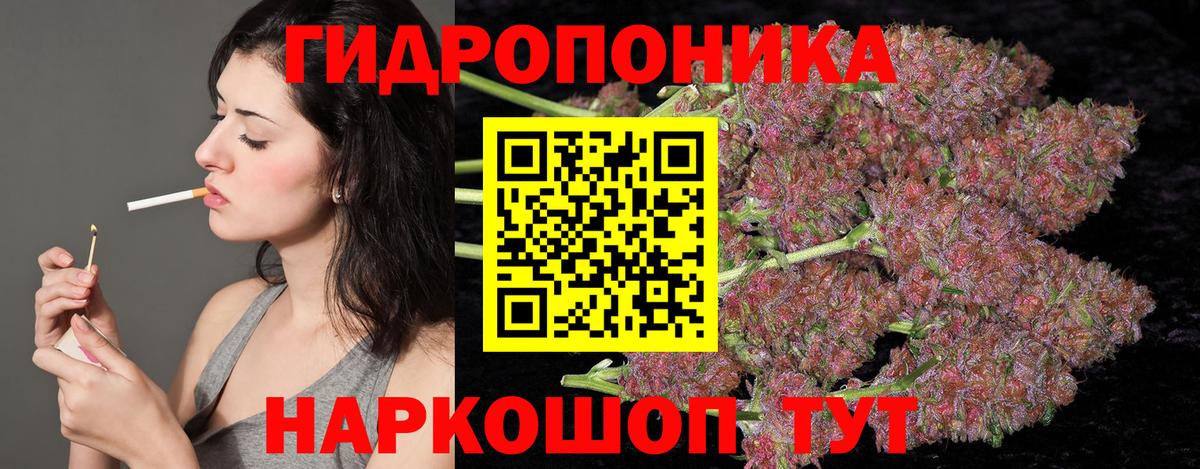 Бошки марихуана VHQ Холмск